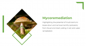 13867-Mushroom-PowerPoint-Presentatio_13
