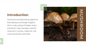 13868-Mushroom-PowerPoint-Designs_02