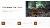 13868-Mushroom-PowerPoint-Designs_05