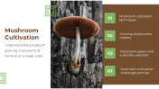 13868-Mushroom-PowerPoint-Designs_06