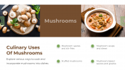 13868-Mushroom-PowerPoint-Designs_07