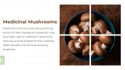 13868-Mushroom-PowerPoint-Designs_08