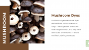 13868-Mushroom-PowerPoint-Designs_09