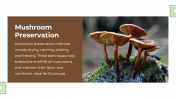 13868-Mushroom-PowerPoint-Designs_10