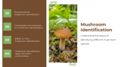 13868-Mushroom-PowerPoint-Designs_14