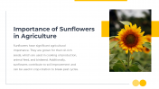 14049-Sunflower-PowerPoint-Templates_08