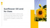 14049-Sunflower-PowerPoint-Templates_09