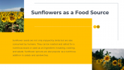 14049-Sunflower-PowerPoint-Templates_10