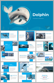 Dolphin PowerPoint Presentation And Google Slides Template