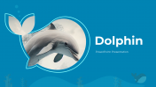 Dolphin PowerPoint Presentation And Google Slides Template