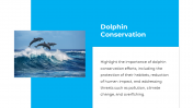 14301-Dolphin-PowerPoint-Presentation_11