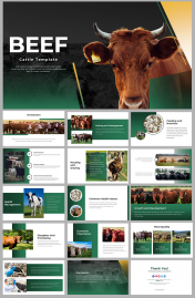 Beef Cattle PowerPoint And Google Slides Templates