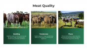 14326-Beef-Cattle-Slide-Template_13