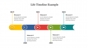 Life Timeline Example Presentation Template & Google Slides