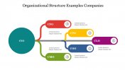 Organizational Structure E.G Companies PPT & Google Slides