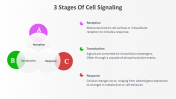 14647-3-Stages-Of-Cell-Signaling_04
