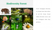 200055-International-Day-Of-Forests_18