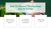 200055-International-Day-Of-Forests_26