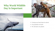 200069-World-Wildlife-Day_10