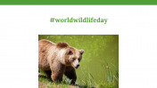 200069-World-Wildlife-Day_29