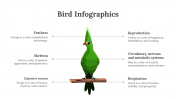 200077-Bird-Infographics_03