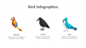 200077-Bird-Infographics_04
