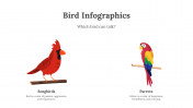 200077-Bird-Infographics_05