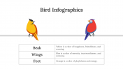 200077-Bird-Infographics_11