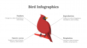 200077-Bird-Infographics_12