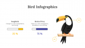 200077-Bird-Infographics_13
