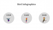 200077-Bird-Infographics_15