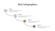 200077-Bird-Infographics_16