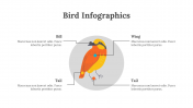 200077-Bird-Infographics_20