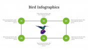 200077-Bird-Infographics_22