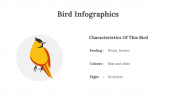200077-Bird-Infographics_24