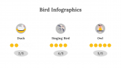 200077-Bird-Infographics_28