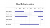 200077-Bird-Infographics_31