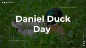 Daniel Duck Day PowerPoint and Google Slides Themes