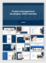 Project Management Strategies SMEs PPT And Google Slides