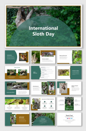 International Sloth Day PowerPoint And Google Slides Themes