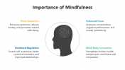 Usable Importance Of Mindfulness PPT And Google Slides