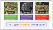 Multicolor Portfolio Presentation PowerPoint-Three Node