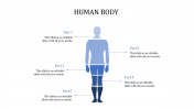 Amazing Five Noded Human Body PowerPoint Template 