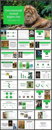 International Animal Rights Day PPT and Google Slides Themes