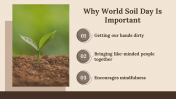 300028-World-Soil-Day_28
