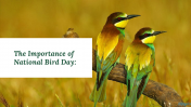 300052-National-Bird-Day_11