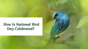 300052-National-Bird-Day_16