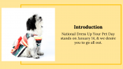300053-National-Dress-Up-Your-Pet-Day_02