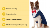300053-National-Dress-Up-Your-Pet-Day_16