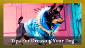 300053-National-Dress-Up-Your-Pet-Day_20